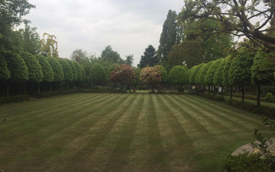 Garden maintenance from Westwood Landcsaping